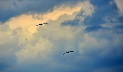 Ο καιρός τρελάθηκε! Ξεπέρασε τους 22 βαθμούς στην Κρήτη