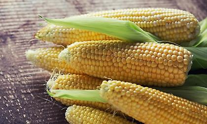 Ένας νόστιμος σύμμαχος της υγείας μας