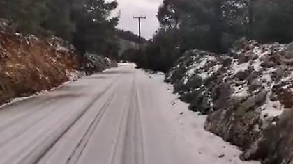 Ζηνοβία: Το «έστρωσε» για πρώτη φορά στην ακριτική Σύμη (videos)