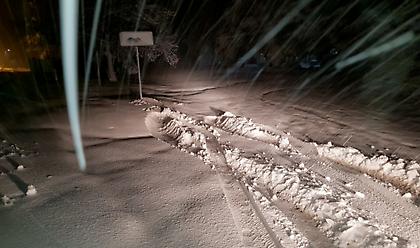 Ζηνοβία: Απαγορεύτηκε και η κυκλοφορία των λεωφορείων στην Αθηνών - Λαμίας