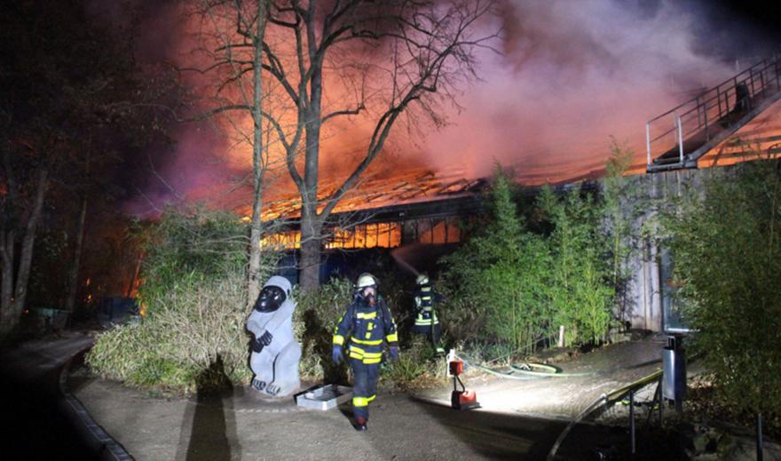 Γερμανία: Δεκάδες μαϊμούδες νεκρές σε πυρκαγιά σε ζωολογικό κήπο