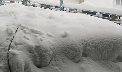 Εύβοια: Θαμμένη στο χιόνι και χωρίς ρεύμα η Σέττα Ερέτριας