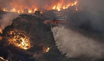 Αυστραλία: Στο μέγεθος της Ιρλανδίας υπολογίζεται η έκταση που κάηκε