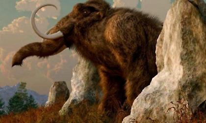 Νεκρανάσταση που διχάζει: Τα εξαφανισμένα είδη ζώων που οι επιστήμονες επαναφέρουν στη ζωή