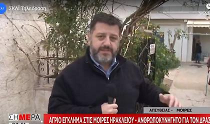 Άγριο έγκλημα στις Μοίρες Ηρακλείου - Ανθρωποκυνηγητό για τον δράστη