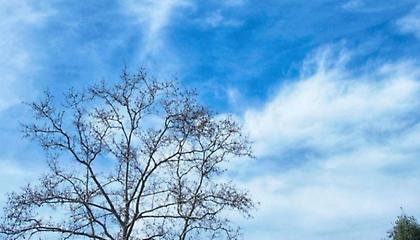 Ο καιρός σήμερα (4/2/2020)