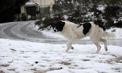 Ο καιρός σήμερα (7/2/2020)