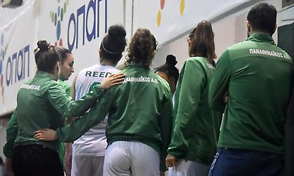 Live Streaming: Παναθηναϊκός-Εσπερίδες