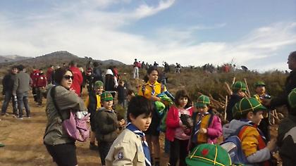 Όλοι Μαζί Μπορούμε - Παλαιά Φώκαια: 4.100 κυπαρίσσια φυτεύτηκαν στη δεντροφύτευση