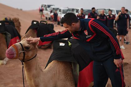 Βόλτα στην έρημο με καμήλες για τον Sokratis και την Άρσεναλ (pics)