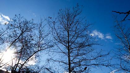 Ο καιρός σήμερα (13/2/2020)