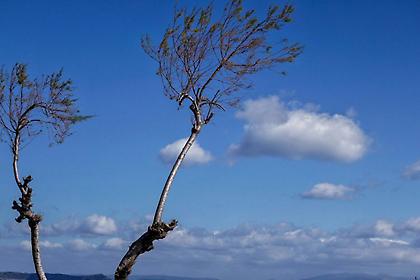 Ο καιρός σήμερα (24/2/2020)