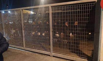 Μεταναστευτικό: Αναβρασμός σε Χίο και Μυτιλήνη - Ρίψη χημικών στα Μεστά Χίου