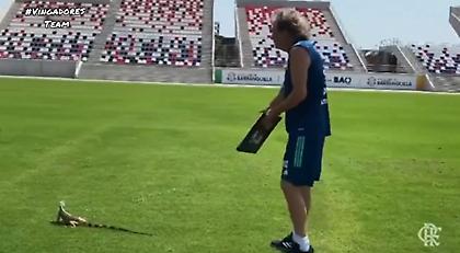 Μια σαύρα διέκοψε την προπόνηση της Φλαμένγκο (video)