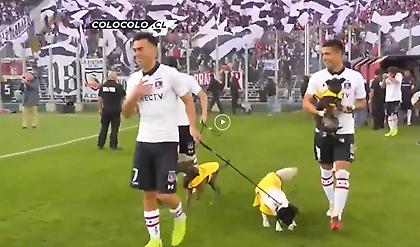 Οι παίκτες της Κόλο Κόλο μπήκαν στο γήπεδο με σκύλους στέλνοντας ένα όμορφο μήνυμα