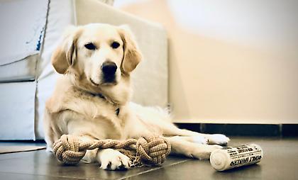 Τι έκανες στον «πόλεμο» Θανάση;