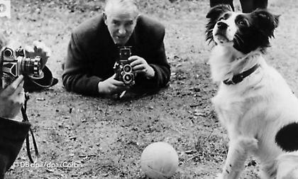 Ο σκύλος που έσωσε το Παγκόσμιο Κύπελλο!