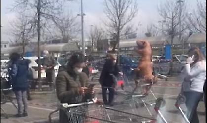 Ιταλός ντύθηκε... δεινόσαυρος, περίμενε στην ουρά και ψώνισε στο σούπερ μάρκετ (video)