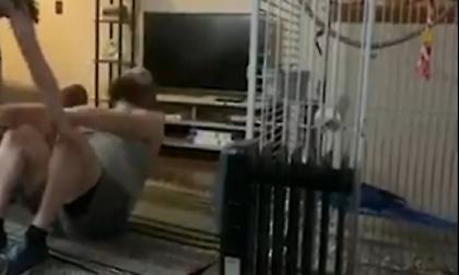 ΕΠΟΣ: Παπαγάλος ξεκαρδίζεται στα γέλια με τους… κοιλιακούς του αφεντικού του! (video)