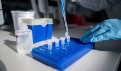 Βρέθηκε δεύτερη «πύλη» εισόδου του κορωνοϊού στα ανθρώπινα κύτταρα