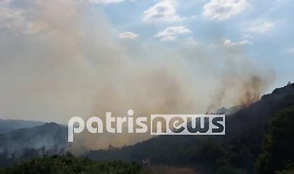 Ηλεία: Πυρκαγιά κοντά σε χωριό στην περιοχή Μπαλαίικα