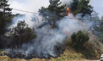 Φωτιά στο Αργάσι Ζακύνθου (vid)