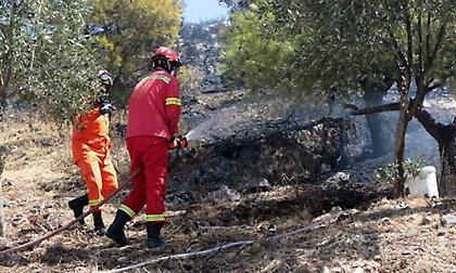 Φωτιά στο Βασιλικό Κορινθίας