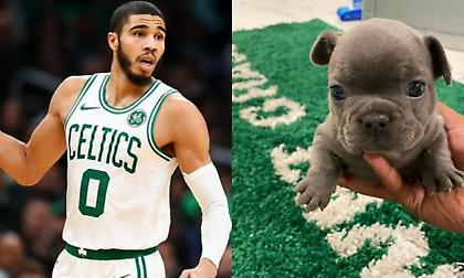 Τέιτουμ: Ονόμασε το κουτάβι του “Μπιν” προς τιμή του Κόμπι (photo)