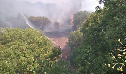 Σε εξέλιξη πυρκαγιά στη ΒΙΑΛ της Χίου