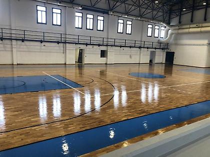 «Όραμά μας να φτάσει ο ΑΟ Μυκόνου ακόμη και στην Α1»