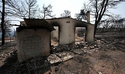 Πέτσας για δημοσίευμα Καθημερινής: Έγκλημα συγκάλυψης με τεράστιες ευθύνες στο Μάτι
