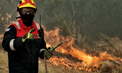 Πυρκαγιά στον Πύργο - Καίει δάσος στη Φιγαλεία