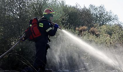 Πυροσβεστική: Σε 54 ανήλθαν οι πυρκαγιές που εκδηλώθηκαν το τελευταίο 24ωρο