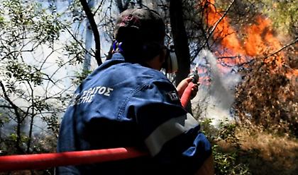 Καλαμάτα: Φωτιά σε δασική έκταση στην περιοχή Πέντε Αλώνια της Μεσσηνίας
