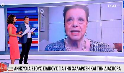 Γιαμαρέλλου: Θα φοράμε όλοι μάσκα, θα το πάρουμε απόφαση - Τι αποκάλυψε έρευνα