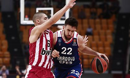 Και τυπικά συνεχίζει στην Εφές ο Μίτσιτς