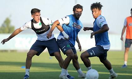 Προβλήματα με Κουρμπέλη, Αγιούμπ στον Παναθηναϊκό