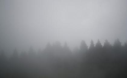 Προπονήθηκε στην ομίχλη ο Άρης (pics)