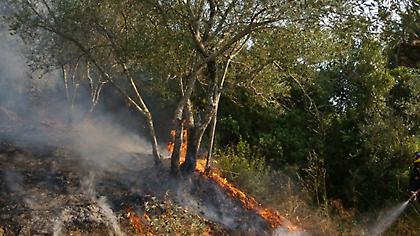 Υπό μερικό έλεγχο όλες οι δασικές πυρκαγιές