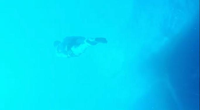 Ο… «Ποσειδώνας» Κριστιάνο βούτηξε 14 μέτρα κάτω από την επιφάνεια της θάλασσας (video)