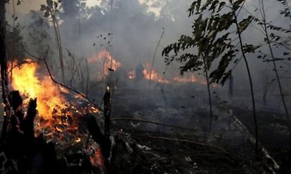 Πυρκαγιές στον Αμαζόνιο κατακαίνε δάση και απειλούν κατοικίες