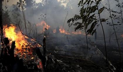 Πυρκαγιές στον Αμαζόνιο κατακαίνε δάση και απειλούν κατοικίες