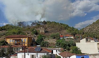 Πυρκαγιά σε δασική έκταση στην Ελασσόνα