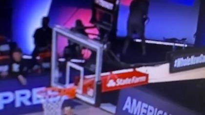 «Εκτόξευσε» καρέκλα πίσω από τον πάγκο των Μπακς ο Λόπεζ! (video)