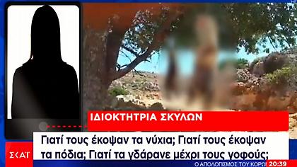 Βασάνισαν απάνθρωπα και σκότωσαν σκυλάκια – Ανθρωποκυνηγητό για σύλληψη των δραστών