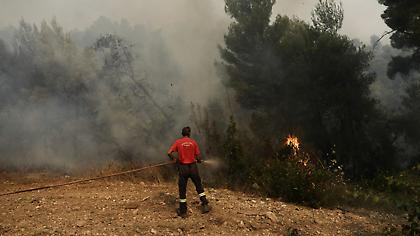 Σε 21 ανήλθαν οι δασικές πυρκαγιές που εκδηλώθηκαν το τελευταίο 24ωρο