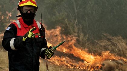 Πυρκαγιά στις Φέρες Αλεξανδρούπολης