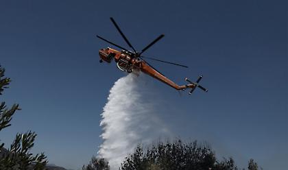 Φωτιά στην περιοχή Αγνάντια της Αλεξανδρούπολης
