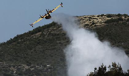 Υπό μερικό έλεγχο η φωτιά στην περιοχή Κολοκυθάς στην Ηλεία