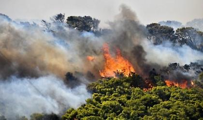 Αλεξανδρούπολη: Αναζωπυρώθηκε η πυρκαγιά μεταξύ Μελίας και Νίψας